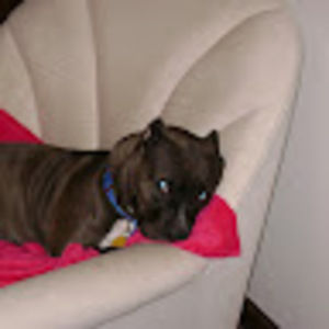 Meet your Posher, Catrina